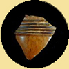 humbnail image of Manganese Mottled pottery sherd.